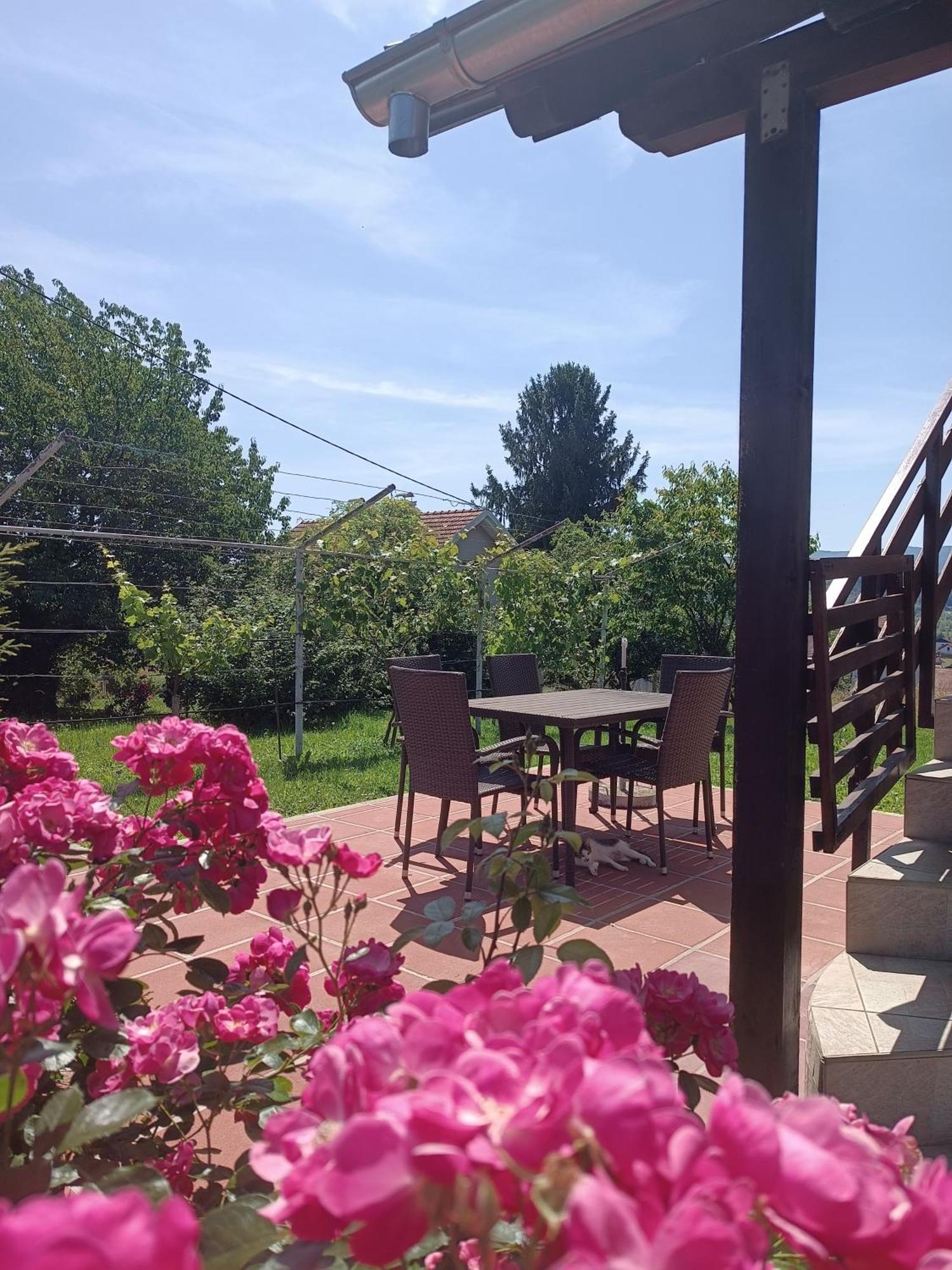 Apartman Petra Забок Экстерьер фото